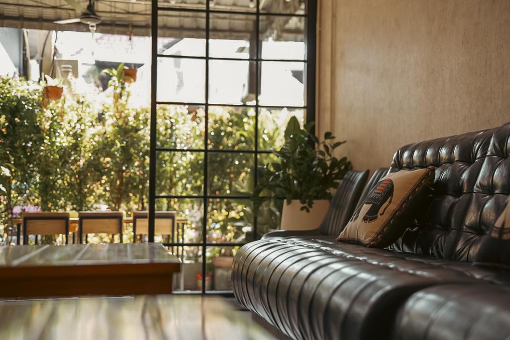 Dorm room at Stamps Backpackers Hostel in Chiang Mai 2025